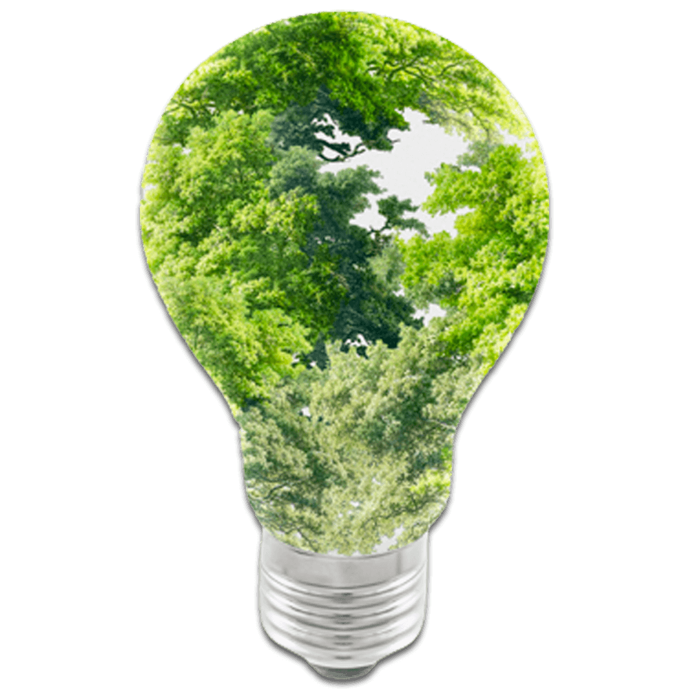 nei caçambas soloções ambientais para empresa em curitiba